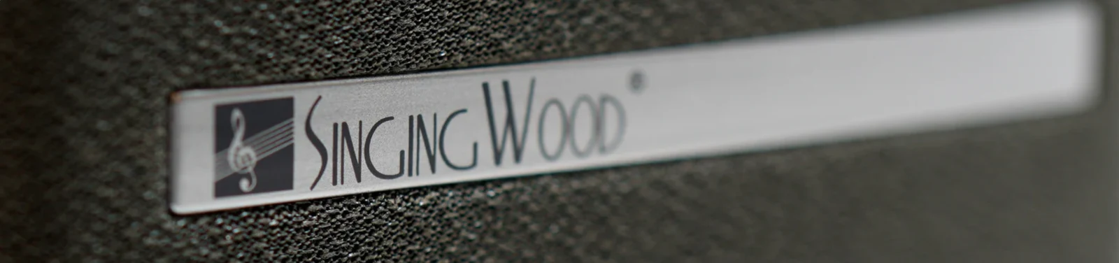 SingingWood — CONSUMER ELECTRONICS · MARKET EXPANSION
